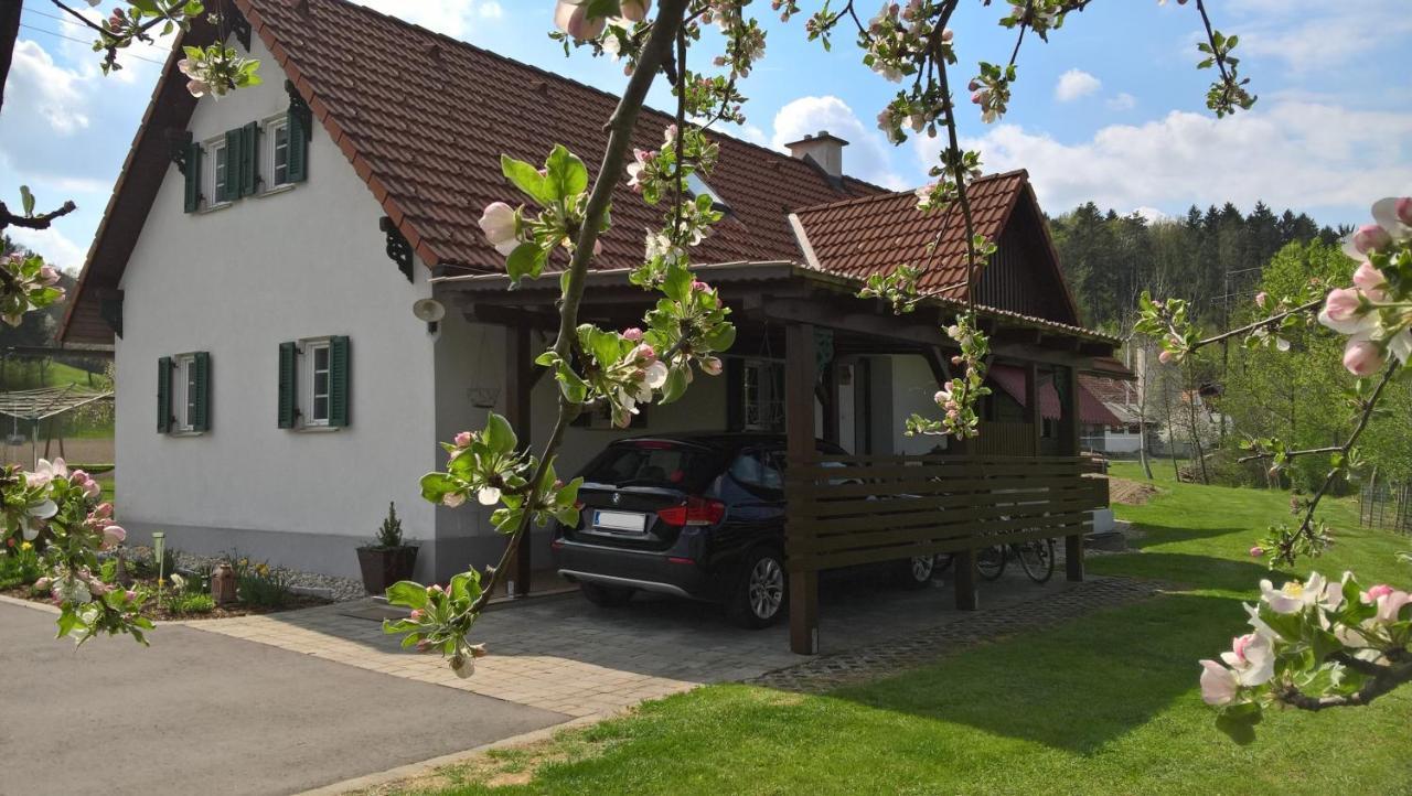 Ferienhaus Am Bach Kirchberg an der Raab Exterior photo